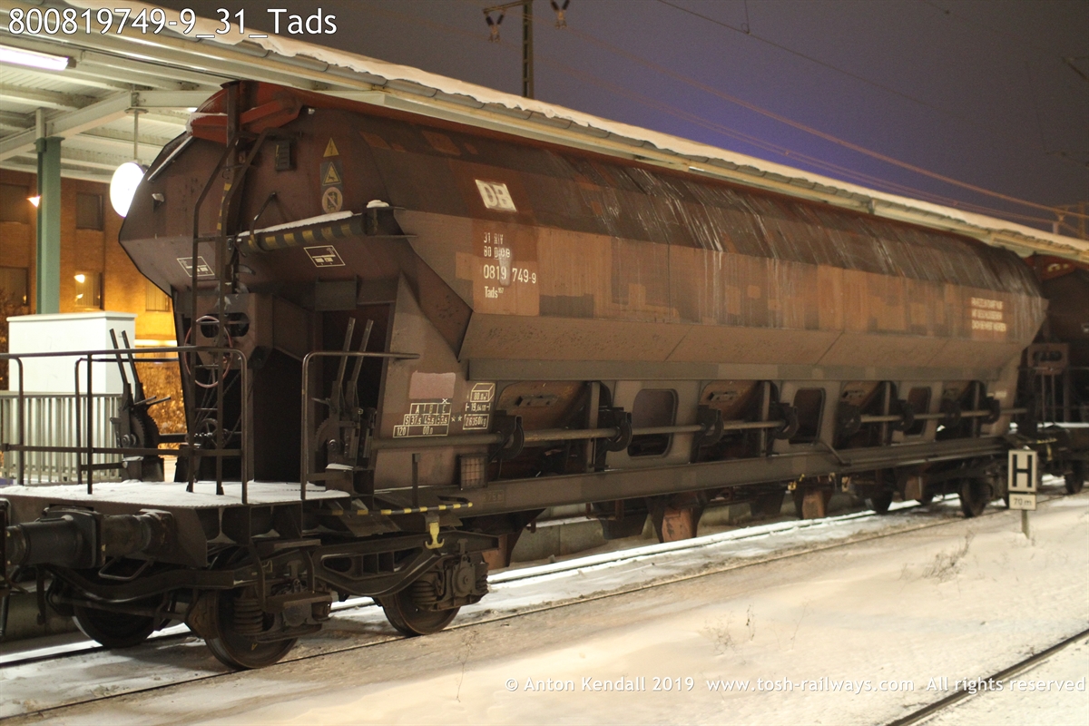 800819749-9_31_Tads.JPG